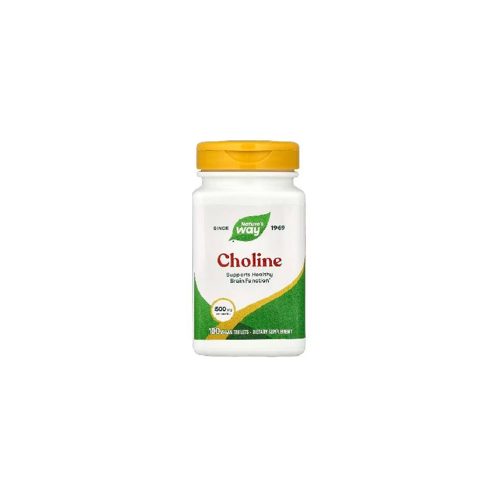 NATURES WAY CHOLINE 500MG 100 TABLETS